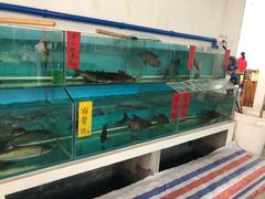 水产区-烧鹅妹饭店
