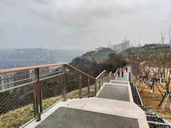 -重庆平顶山公园