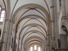 -上海佘山国家森林公园西佘山园