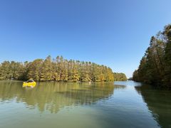 -上海海湾国家森林公园