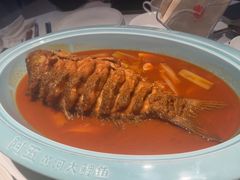 -阿五黄河大鲤鱼(英协路店)