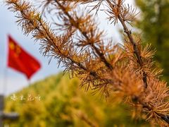 -苏木山森林公园