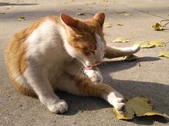 -中医药大学-老3楼餐厅