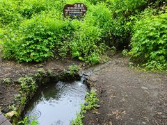 -峡谷浮石林景区