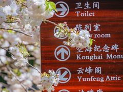 -西安青龙寺遗址景区
