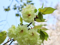 -白塘生态植物园