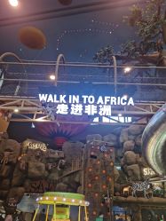 点击看大图 -卡通尼·Safari非洲探索乐园·生日会(金桥国际商业广场店)