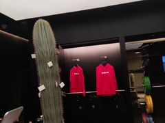 -TOP健身私教工作室(侨香店)