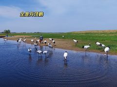 -黑龙江扎龙生态旅游区