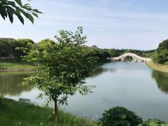 -上海海湾国家森林公园