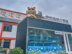 -向外鱼乐·土菜·虹鳟鱼