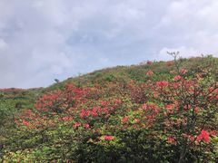 -大围山国家森林公园