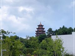 -铁山坪森林公园