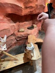 -Zoolung Zoolung动物主题公园(海信广场店)