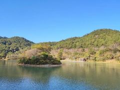 -广州白江湖森林公园