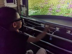 -中国西峡恐龙遗迹园
