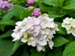 -新天地活力PARK