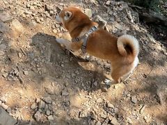 -惠山国家森林公园