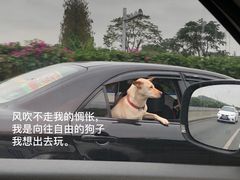 -伦教678文化街