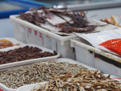 -中国舟山国际水产城