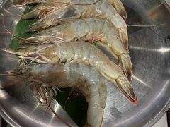 -杨小佳·齐齐哈尔烤肉·烤串(广州店)
