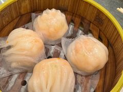 -潮江春(阳光店)