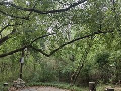 -盘龙城国家考古遗址公园