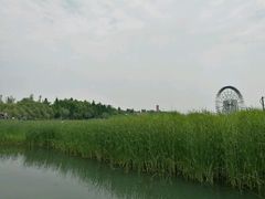 -太湖湖滨国家湿地公园-停车场