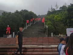 -铁山坪森林公园