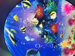 -黑牛码头·小龙虾·烧烤