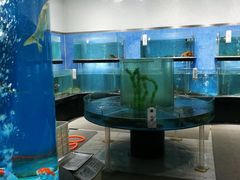 水产区-眉州东坡(通州店)