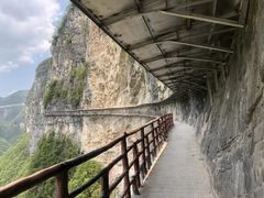 -鹿院坪生态旅游景区