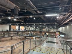 -南越王博物院(王宫展区)
