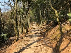 -西湖风景区十里琅珰-五云山