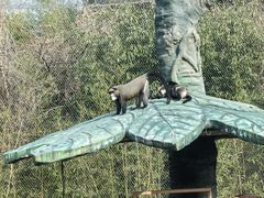 -杭州野生动物世界