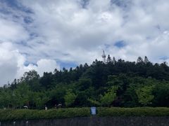 -江南天池