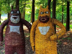 -梁鸿国家湿地公园