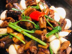-大榕树下顺德菜(融创茂店)