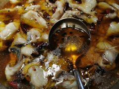 -雲蜀龙阁·金牌水煮鱼(方庄店)