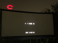 -枫花园汽车电影院(朝阳公园店)