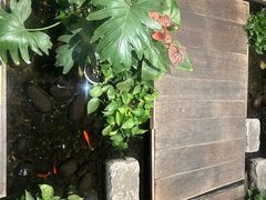 -邈墨茶馆(大兜路1号店)