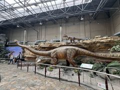 -国家自然博物馆