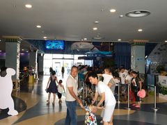 -芜湖新华联大白鲸海洋公园