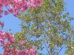 -天龙八部武侠城