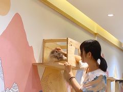 -滚猫咖啡·猫咖·猫友好撸猫(未来城店)