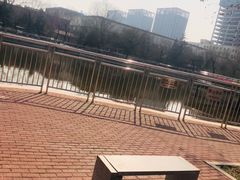 -黄村公园