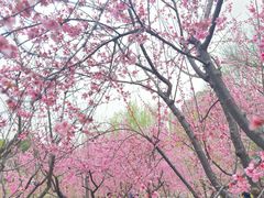 -堤角公园
