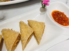 普宁炸豆腐-澄记狮头鹅安粮店