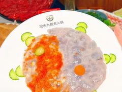 -渝大龙重庆火锅(温泉月亮湾店)