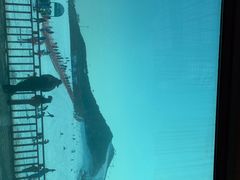 -北京莲花山滑雪场